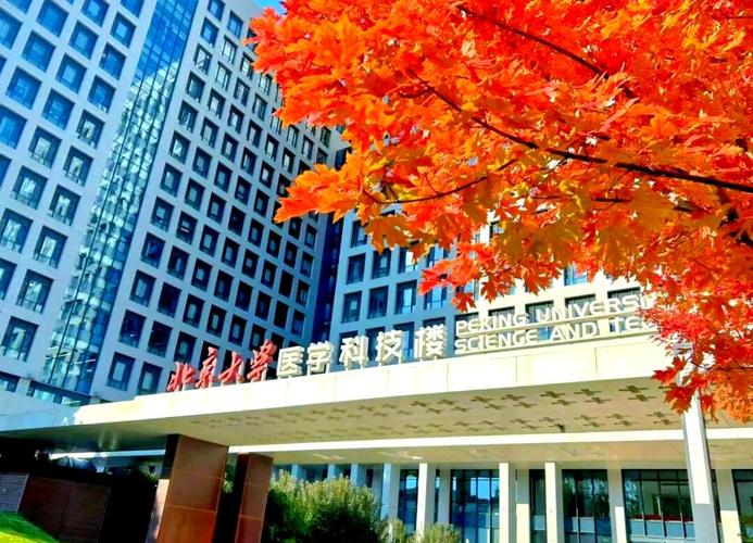 北大医学科技楼的创新服务与温暖关怀 医学科技的人文之光