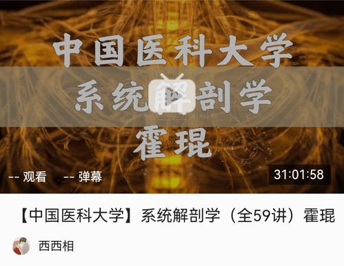 医学科技 连接基础与临床的革新力量